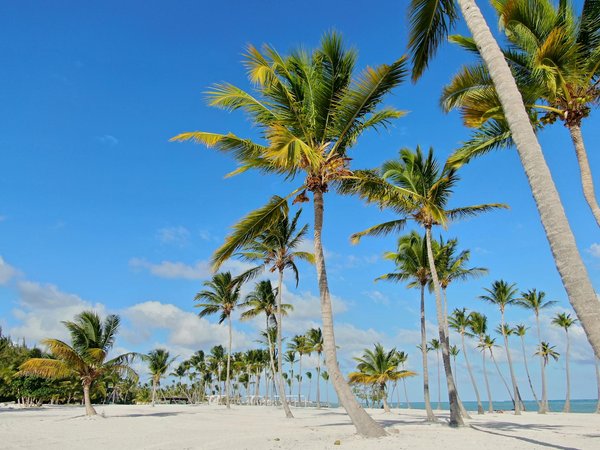 Discovering Edinburgh's Hidden Gems: Your Guide to Scoring Incredible Deals on Authentic Scottish Tartans